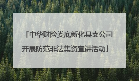 中华财险娄底新化县支公司开展防范非法集资宣讲活动