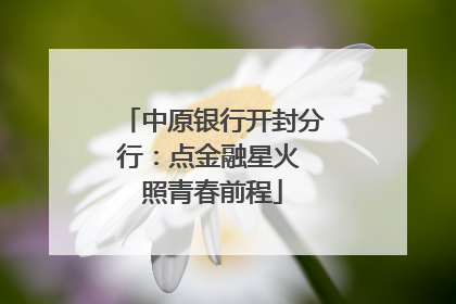 中原银行开封分行：点金融星火 照青春前程