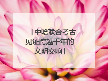 中哈联合考古见证跨越千年的文明交响