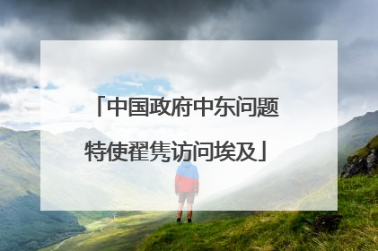 中国政府中东问题特使翟隽访问埃及