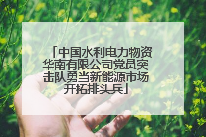 中国水利电力物资华南有限公司党员突击队勇当新能源市场开拓排头兵