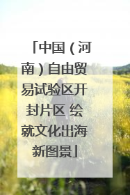 中国（河南）自由贸易试验区开封片区 绘就文化出海新图景