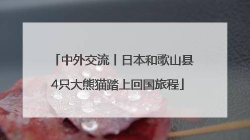 中外交流丨日本和歌山县4只大熊猫踏上回国旅程