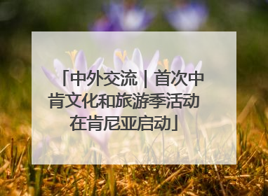 中外交流｜首次中肯文化和旅游季活动在肯尼亚启动