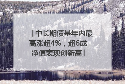中长期债基年内最高涨超4%，超6成净值表现创新高