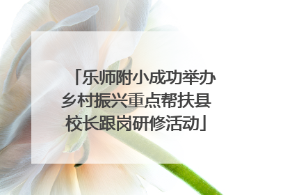乐师附小成功举办乡村振兴重点帮扶县校长跟岗研修活动