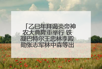 乙巳年拜谒炎帝神农大典隆重举行 铁凝巴特尔王忠林李殿勋张志军林中森等出席 孙伟主持