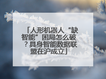 人形机器人“缺智能”困局怎么破？具身智能数据联盟在沪成立