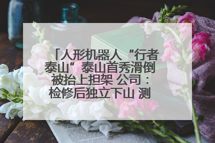 人形机器人“行者泰山”泰山首秀滑倒被抬上担架 公司：检修后独立下山 测试就是为暴露问题