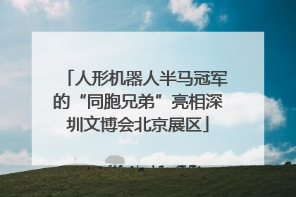 人形机器人半马冠军的“同胞兄弟”亮相深圳文博会北京展区