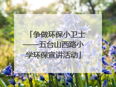 争做环保小卫士——五台山西路小学环保宣讲活动