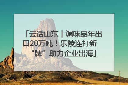 云话山东｜调味品年出口20万吨！乐陵连打新“牌”助力企业出海