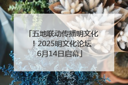 五地联动传播明文化！2025明文化论坛6月14日启幕