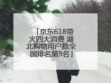 京东618带火四大消费 湖北购物用户数全国排名第9名