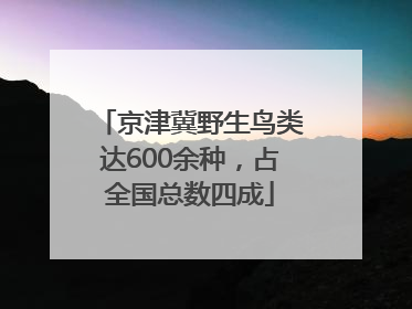 京津冀野生鸟类达600余种，占全国总数四成