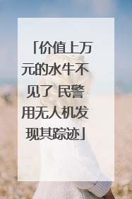 价值上万元的水牛不见了 民警用无人机发现其踪迹