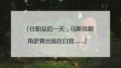 任职最后一天，马斯克眼角淤青出现在白宫……