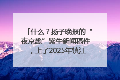 什么？扬子晚报的“夜京畿”紫牛新闻稿件，上了2025年镇江中考模拟卷！