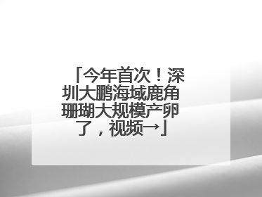 今年首次！深圳大鹏海域鹿角珊瑚大规模产卵了，视频→