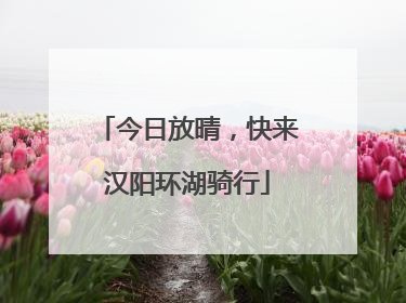 今日放晴，快来汉阳环湖骑行