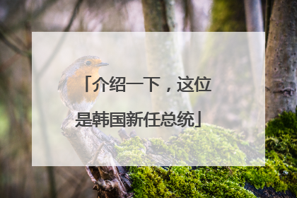 介绍一下，这位是韩国新任总统