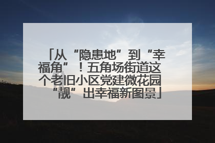 从“隐患地”到“幸福角”！五角场街道这个老旧小区党建微花园“靓”出幸福新图景