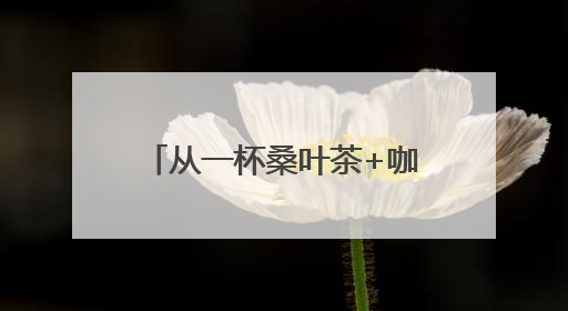 从一杯桑叶茶+咖啡 四川乐至如何端出助企发展的诚意