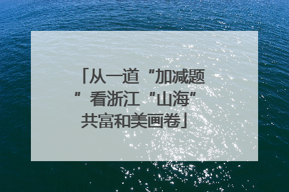 从一道“加减题”看浙江“山海”共富和美画卷
