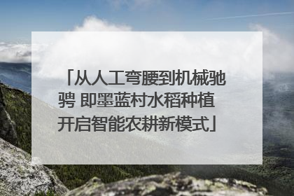 从人工弯腰到机械驰骋 即墨蓝村水稻种植开启智能农耕新模式