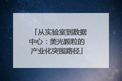 从实验室到数据中心：美光颗粒的产业化突围路径