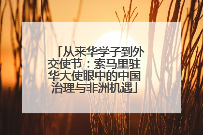 从来华学子到外交使节：索马里驻华大使眼中的中国治理与非洲机遇
