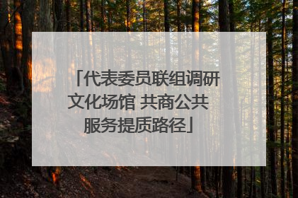 代表委员联组调研文化场馆 共商公共服务提质路径
