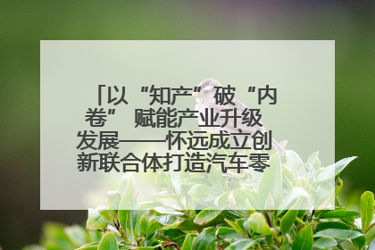 以“知产”破“内卷” 赋能产业升级发展——怀远成立创新联合体打造汽车零部件产业新高地