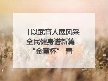 以武育人展风采 全民健身谱新篇 “金童杯” 青少年散打搏击邀请赛圆满落幕