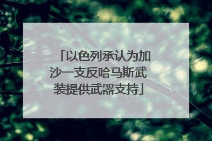 以色列承认为加沙一支反哈马斯武装提供武器支持