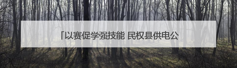 以赛促学强技能 民权县供电公司无人机竞赛助力电网运维提质