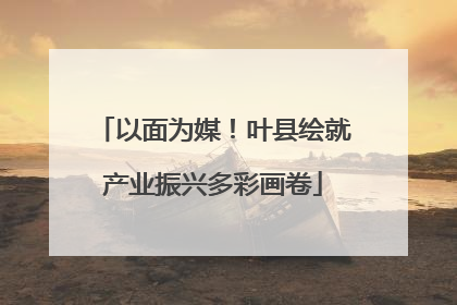 以面为媒！叶县绘就产业振兴多彩画卷