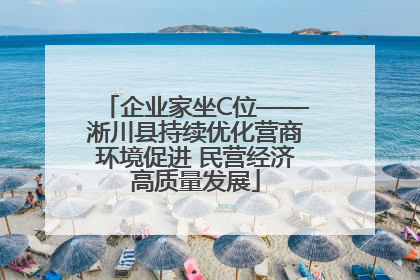 企业家坐C位——淅川县持续优化营商环境促进 民营经济高质量发展