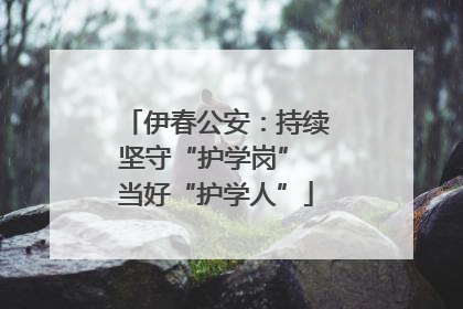 伊春公安：持续坚守“护学岗” 当好“护学人”