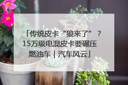 传统皮卡“狼来了”？15万级电混皮卡要碾压燃油车｜汽车风云
