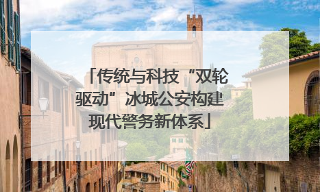 传统与科技“双轮驱动”冰城公安构建现代警务新体系
