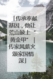 传承奉献基因，他让荒山披上“黄金甲”｜传家风薪火 颂家国情深