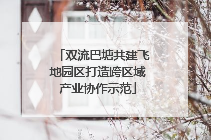 双流巴塘共建飞地园区打造跨区域产业协作示范