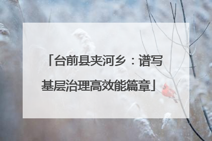 台前县夹河乡：谱写基层治理高效能篇章