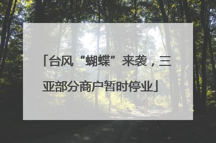 台风“蝴蝶”来袭，三亚部分商户暂时停业