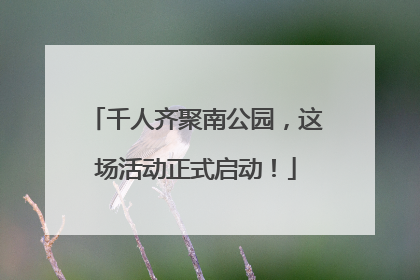 千人齐聚南公园，这场活动正式启动！