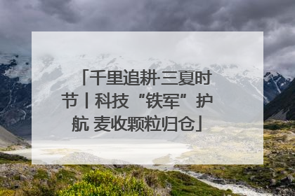 千里追耕·三夏时节丨科技“铁军”护航 麦收颗粒归仓
