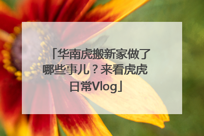 华南虎搬新家做了哪些事儿？来看虎虎日常Vlog