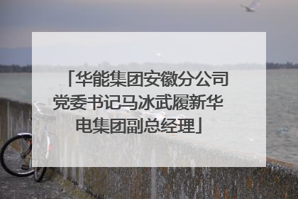 华能集团安徽分公司党委书记马冰武履新华电集团副总经理