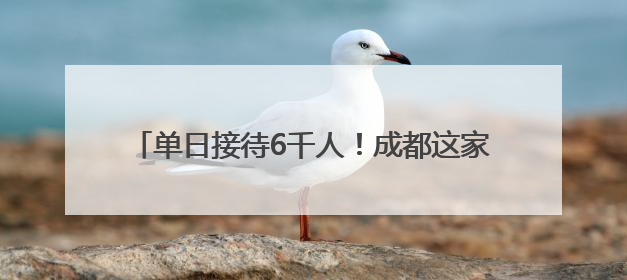 单日接待6千人！成都这家川剧院外国人太多，变身livehouse火上热搜